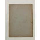 Chalupetzky Ferenc (szerk.): A sakk jelene és jövője