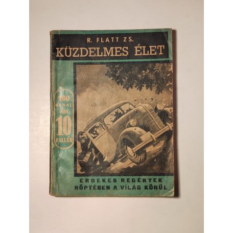 R. Flatt Zs.: Küzdelmes élet (Érdekes Regények 20.)