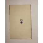 Schrotty Pál: A kis José szeme (Ferences Világmissziók 6.)