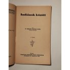 Schmitt Szolán: Indiánok között (Ferences Világmissziók 40.)