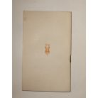 Schmitt Szolán: Indiánok között (Ferences Világmissziók 40.)