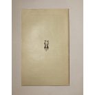 Kosáryné Réz Lola: Milibi, a fekete leány (Ferences Világmissziók 49.)