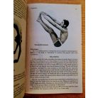 Yogasanas and Sadhana