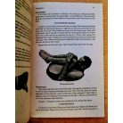 Yogasanas and Sadhana