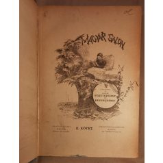   Fekete József és Hevesi József (szerk.): Magyar Salon képes havi folyóirat II. évfolyam (1885) - II. kötet