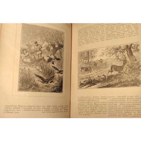 Fekete József és Hevesi József (szerk.): Magyar Salon képes havi folyóirat III. évfolyam (1886) - IV. kötet