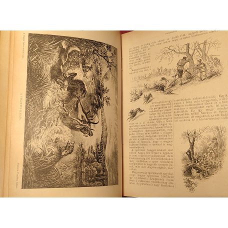 Fekete József és Hevesi József (szerk.): Magyar Salon képes havi folyóirat III. évfolyam (1886) - IV. kötet