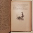 Fekete József és Hevesi József (szerk.): Magyar Salon képes havi folyóirat IV. évfolyam (1887) - VI. kötet