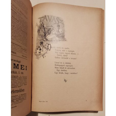 Fekete József és Hevesi József (szerk.): Magyar Salon képes havi folyóirat VII. évfolyam (1890) - XIII. kötet