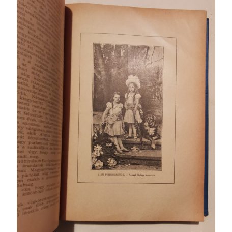 Fekete József és Hevesi József (szerk.): Magyar Salon képes havi folyóirat VIII. évfolyam (1891) - XIV. kötet