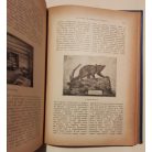 Fekete József és Hevesi József (szerk.): Magyar Salon képes havi folyóirat VIII. évfolyam (1891) - XIV. kötet