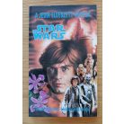 Paul Davids - Hollace Davids: A jedik elveszett városa