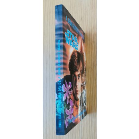 Paul Davids - Hollace Davids: A jedik elveszett városa