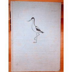   Székessy Vilmos, Dr: Magyarország állatvilága XXI.- Madarak (Aves)