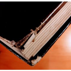 Vertse Albert: Erdő, mező madarai 