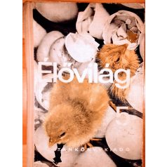 Kontra György, Dr-Stolmár László, Dr: Élővilág 5 