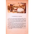 Kontra György, Dr-Stolmár László, Dr: Élővilág 5 