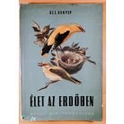 Sz. I. Ognyev: Élet az erdőben 