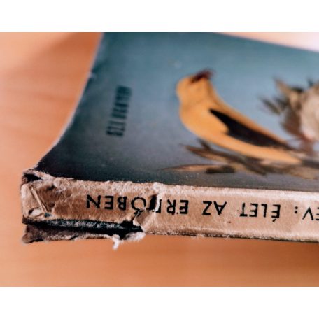 Sz. I. Ognyev: Élet az erdőben 