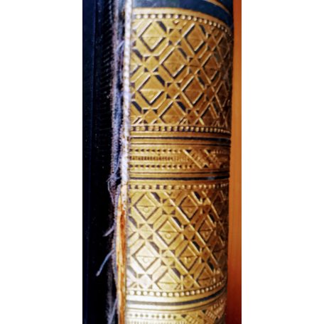 Báró Szterényi József: A magyar ipar almanachja