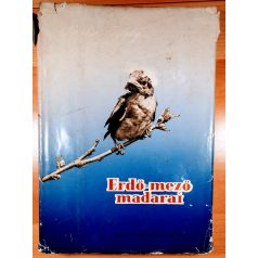 Vertse Albert: Erdő, mező madarai 