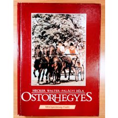 Hecker Walter-Palágyi Béla: Ostorhegyes