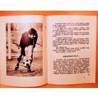 Lakatos György: Sport, játék, egészség 