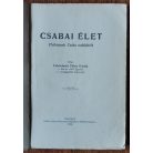 Felsőalmási Fábry Károly: Csabai élet (1924)