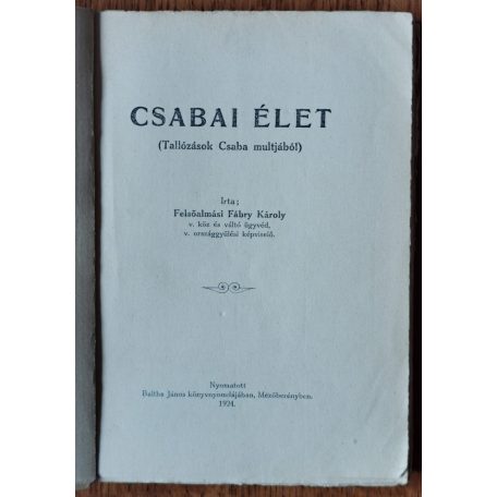 Felsőalmási Fábry Károly: Csabai élet (1924)