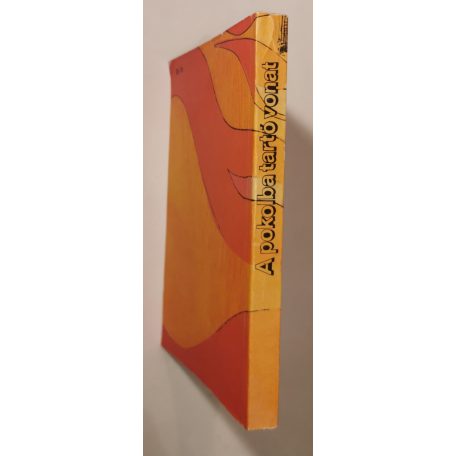 Ferenczné Árkos Ilona (szerk.): A pokolba tartó vonat 