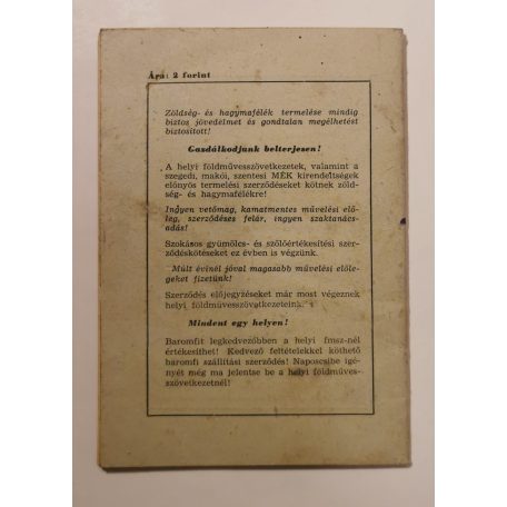 Csongrád megyei mindentudó