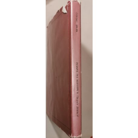 Juhász Antal: A szegedi táj tanyái