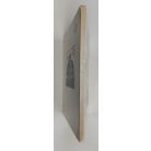 Lázár Ervin: Öregapó madarai 