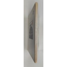 Lázár Ervin: Öregapó madarai 