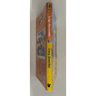 Luigi Garlando: Irány Brazília! (Gól! 2.)