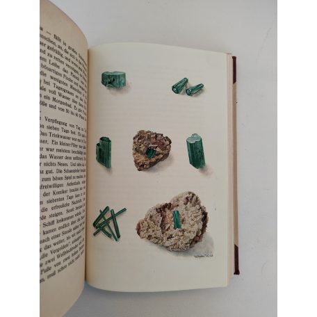 Fritz Klein: Smaragde unter dem Urwald 