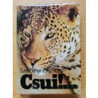 Széchenyi Zsigmond: Csui!