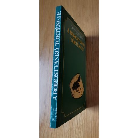 Günter Ludwig: A borostyánkő története