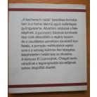 Heinrich Heine: A bacherachi rabbi 