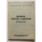 László Dezső: Akarom: Tisztán lássatok - Széchenyi István és a magyar jelen