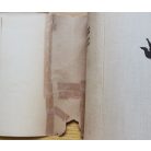 Weöres Sándor: A lélek idézése (Műfordítások)