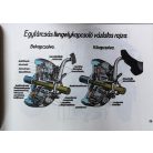 Molnár Gyula: Gépkocsi alapismeretek. 3. kiadás.