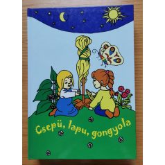 Patyi Beáta: Csepü, lapu, gongyola