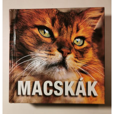 Caterina Di Trana Gromis: Macskák (National Geographic)