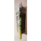 Simon Tibor – Csapody Vera: Kis növényhatározó 