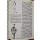 Szepes Erika: Antik lexikon