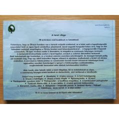 Heidemarie Pielmeier: A tarot világa