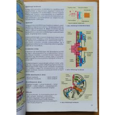 Max Bohner - Siegfried Leyer: Gépjárműszerkezetek