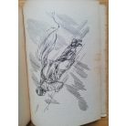 Lestyán Sándor: Vadászrepülő leszek