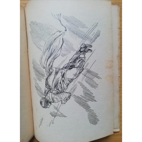 Lestyán Sándor: Vadászrepülő leszek